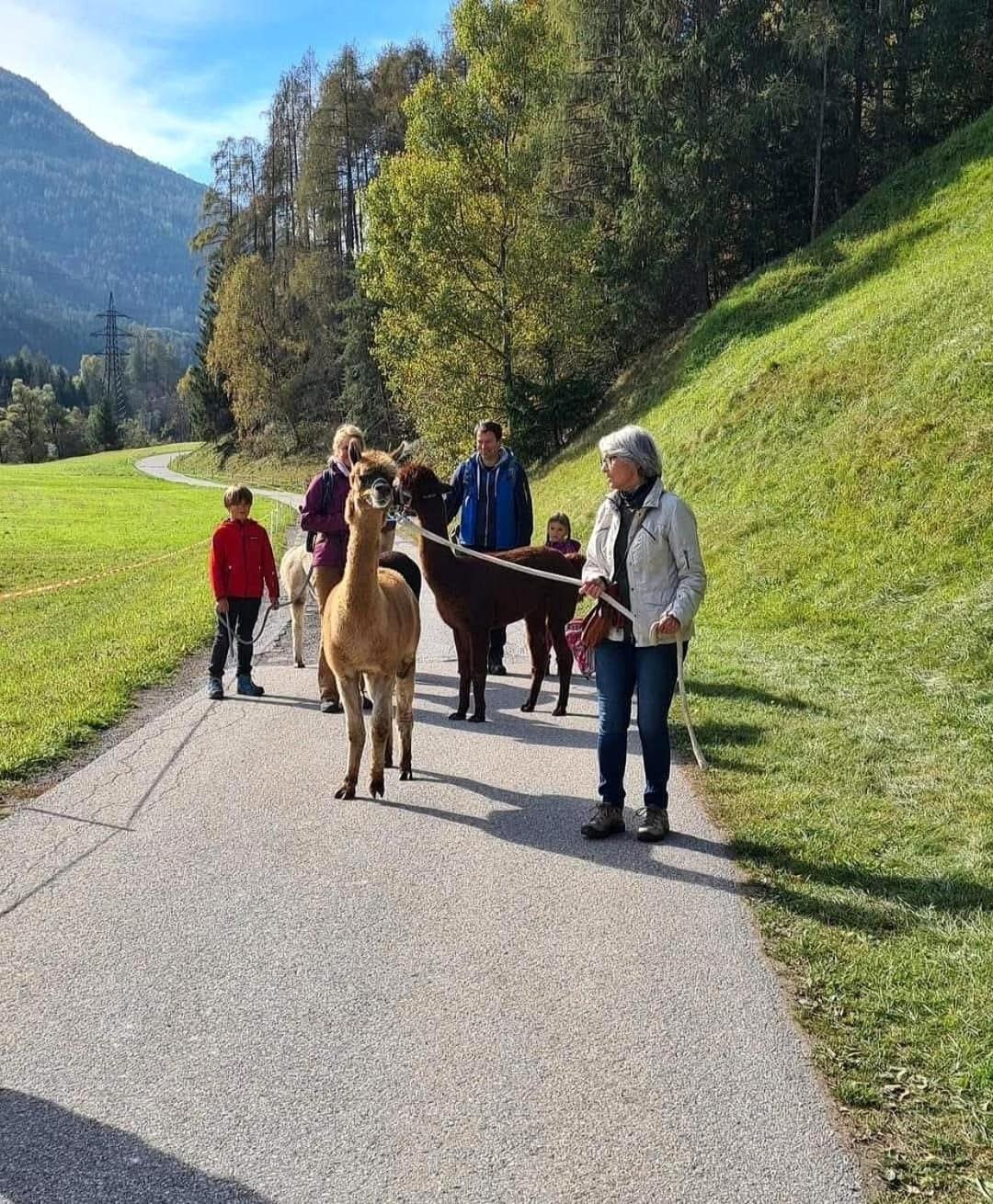 Apart- Chalet Gletscherglueck Telfes im Stubai Buitenkant foto