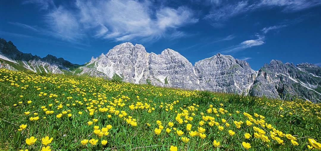 Apart- Chalet Gletscherglueck Telfes im Stubai Buitenkant foto